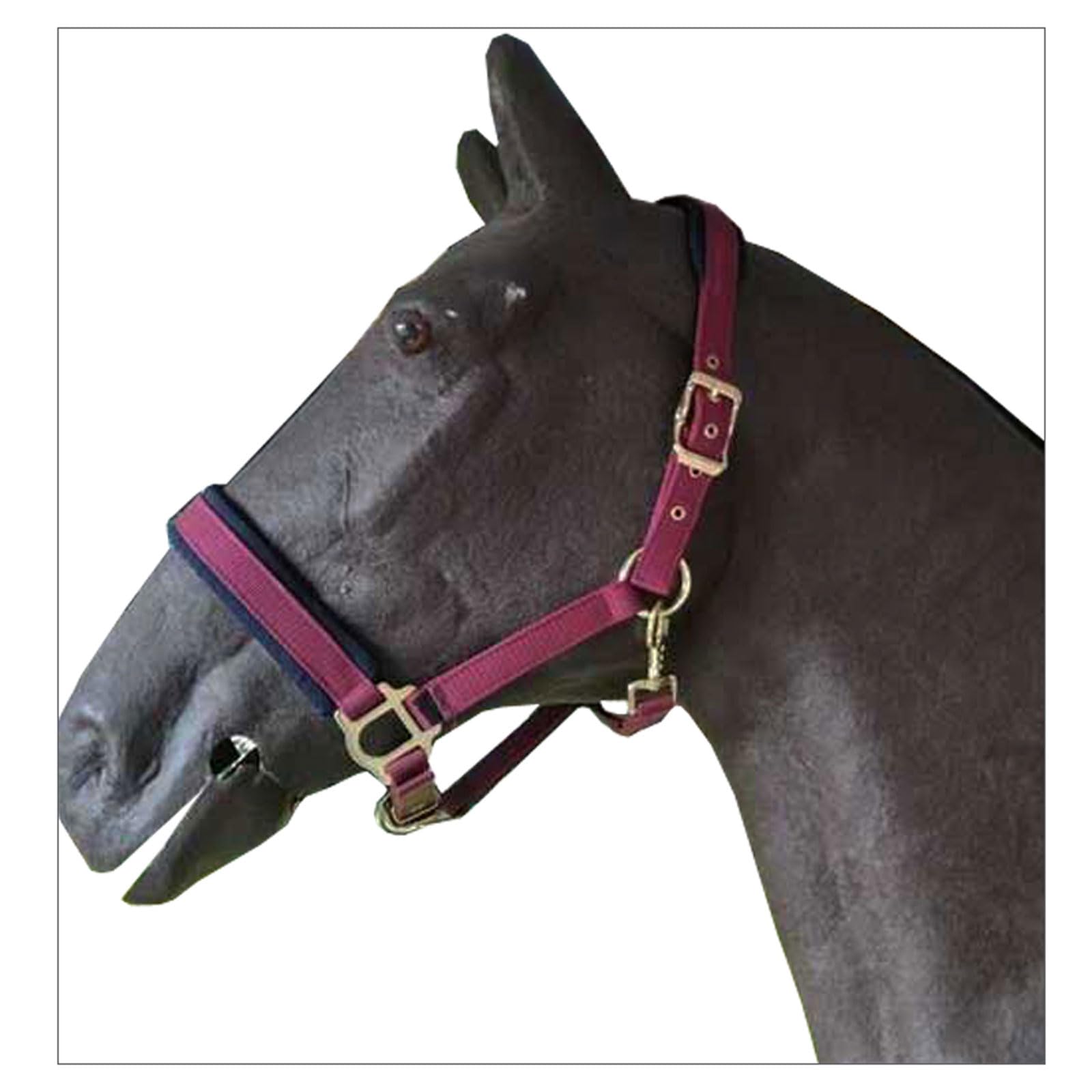 Nylonowy kantar dla konia | Wielokolorowy kantar dla konia 135-165 cm(Black)
