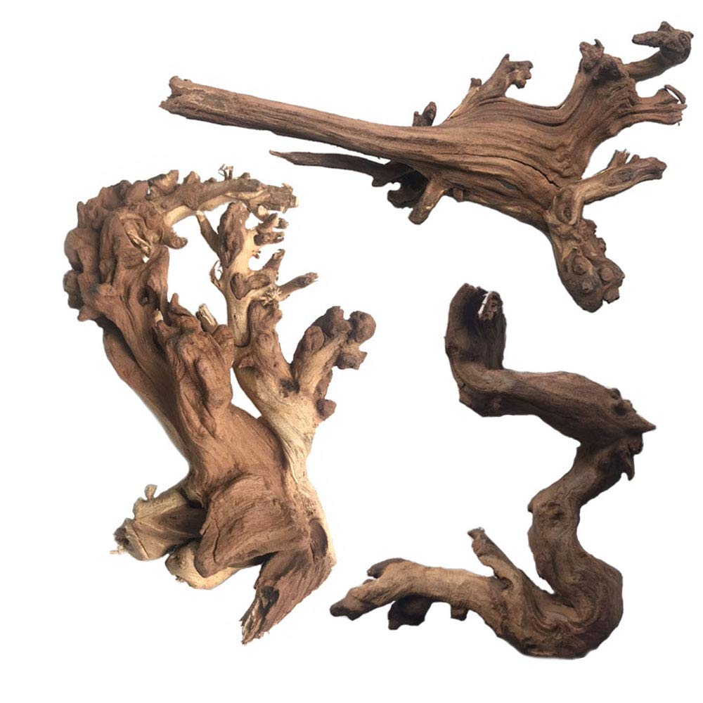 Buy PINVNBY Natural Aquarium Driftwood Assorted Branches Reptile Ornament for Fish Tank Decoration Pack of 3 Online at desertcart INDIA