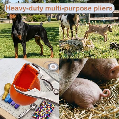 Image of Goat Banding Kit, Livestock Castration Bander with Stainless Steel Expander Pliers, 60Pcs 2 Sizes Castrator Rings and Ring Installation Tool for Goats, Lambs, Calves, Sheep, Piglets