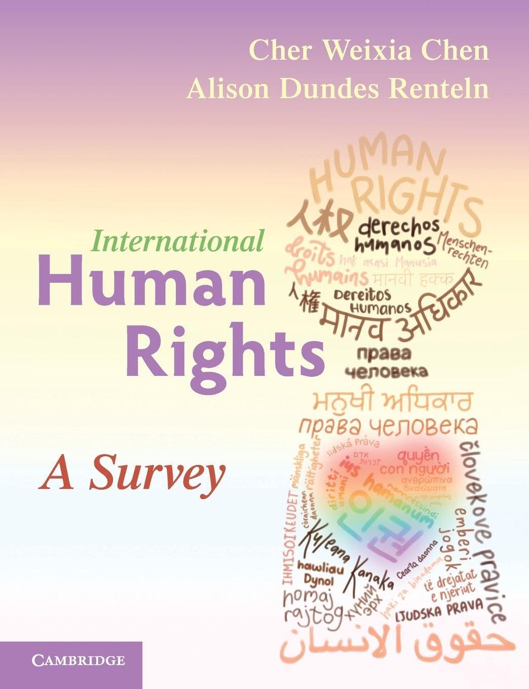 International Human Rights: A Survey Paperback – 10 November 2022