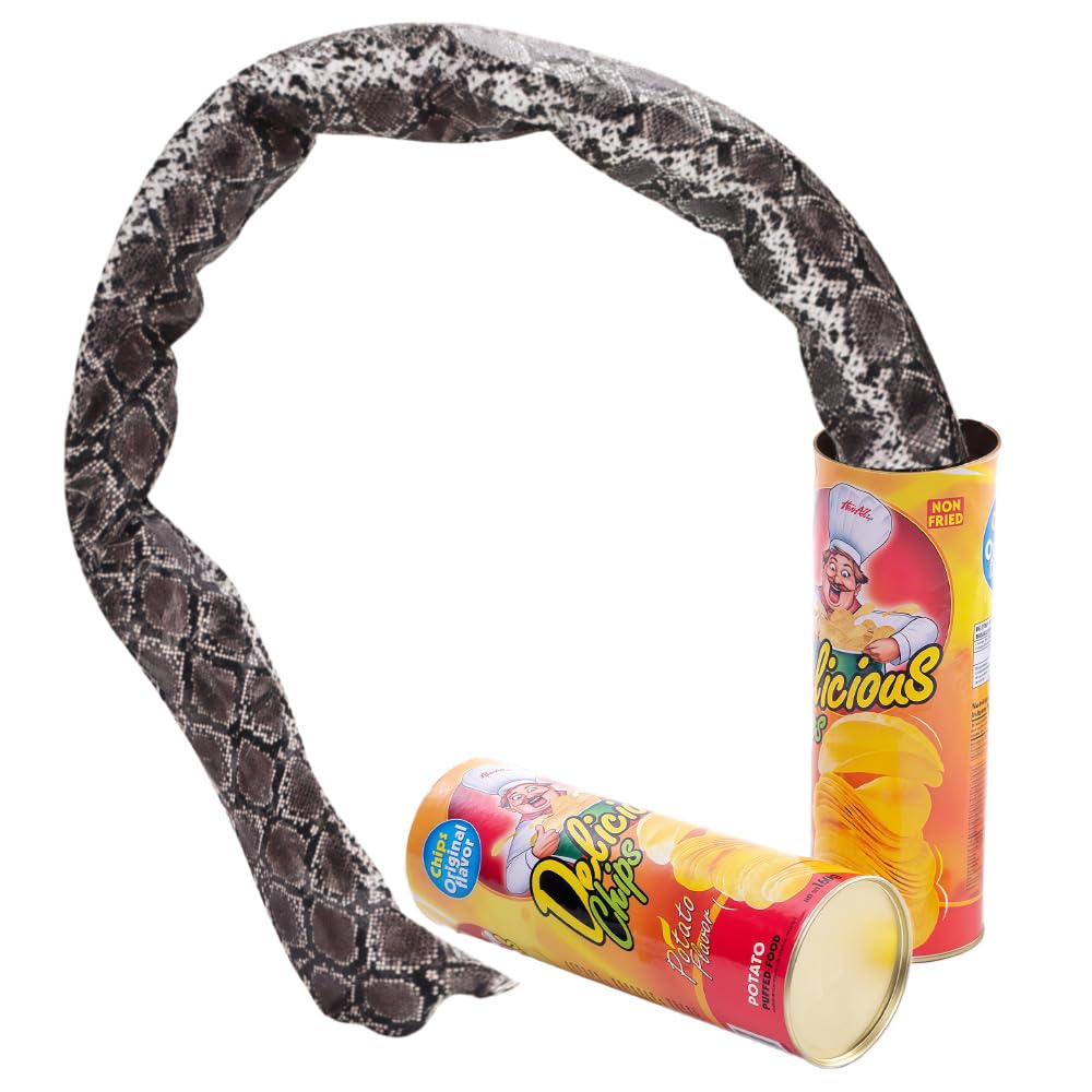 2 Pack Scary Snake Prank Fun Toys Funny Chip Can Bouncing Surprise Prank Props for April Fool's Day Mardi Gras Halloween Horror Party Decoration Supplies