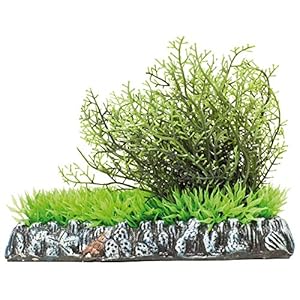 ICA AP1201 Fucus con Prato di Aquatic Plants Plastica
