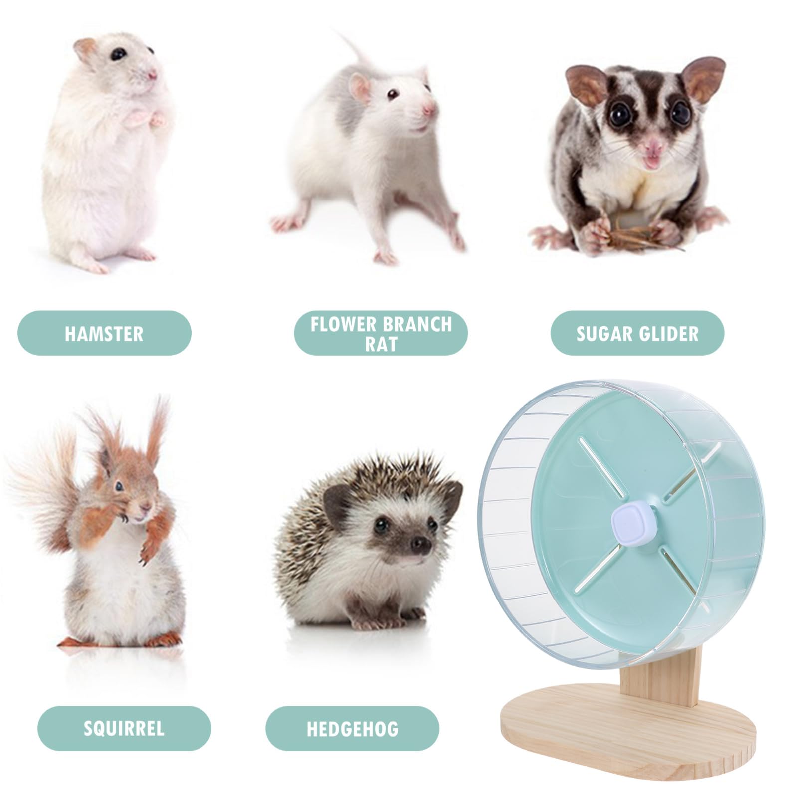 UKCOCO 1 Ensemble De Roue De Course pour Hamster avec Exercice Hamster Silencieux Roue pour Animaux De Compagnie De Silencieuse De Domestique en Bois Green