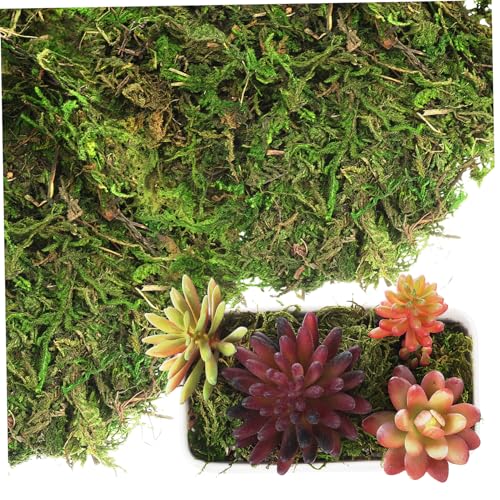 RORPOIR Faux Moss Decor for Crafts and Home Decor Realistic Artificial Moss for Flower Pots Wreaths and Table Centerpieces Versatile for Projects