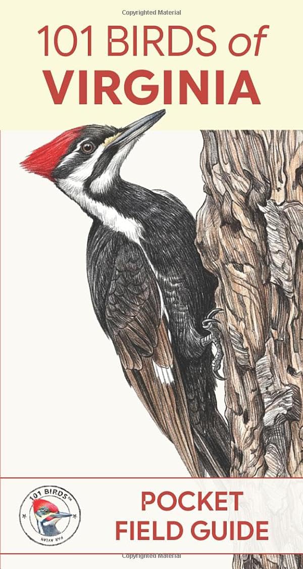 101 Birds of Virginia: 101 Birds (101 Birds Pocket Field Guides)