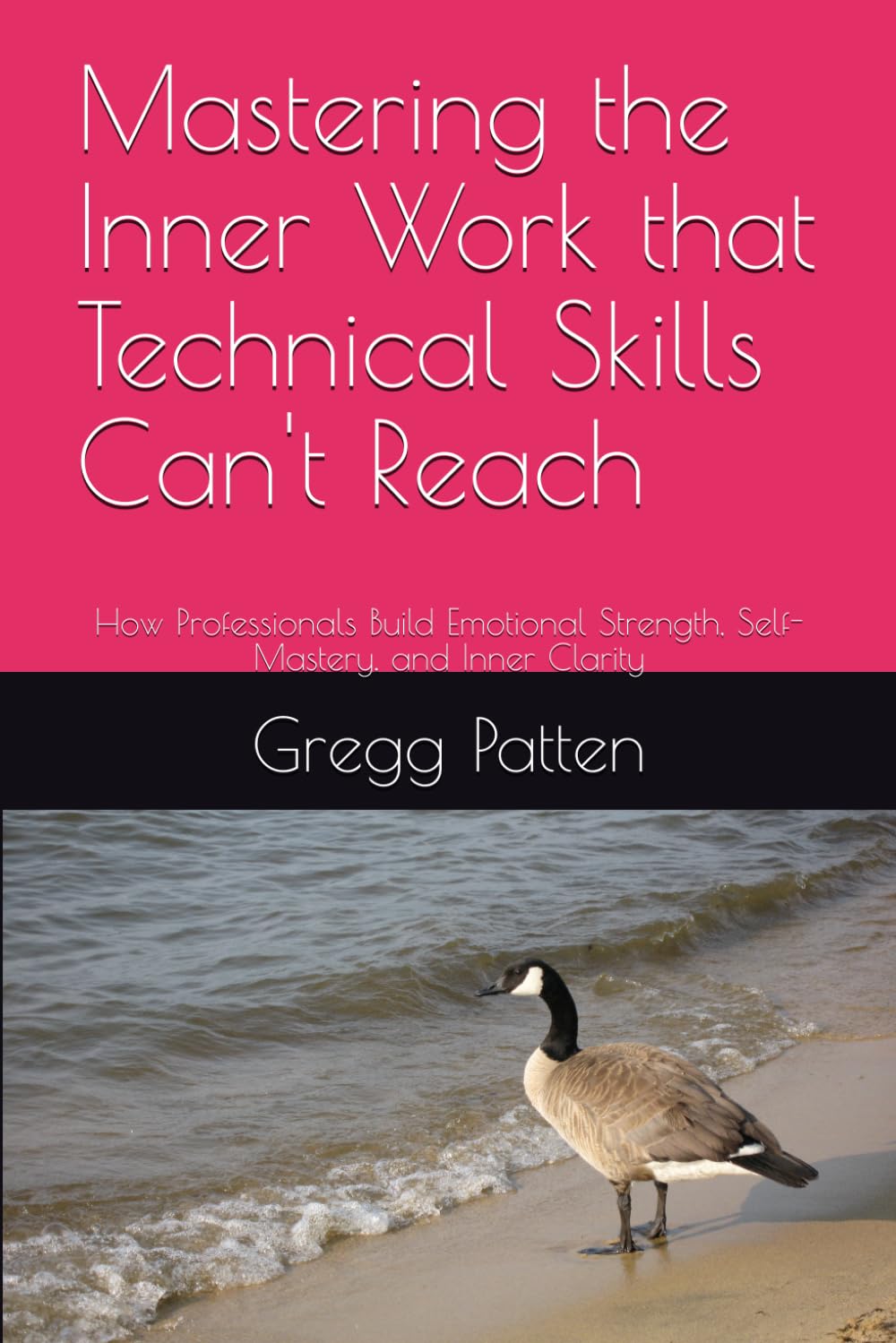 Mastering the Inner Work that Technical Skills Can't Reach: How Professionals Build Emotional Strength, Self-Mastery, and Inner Clarity