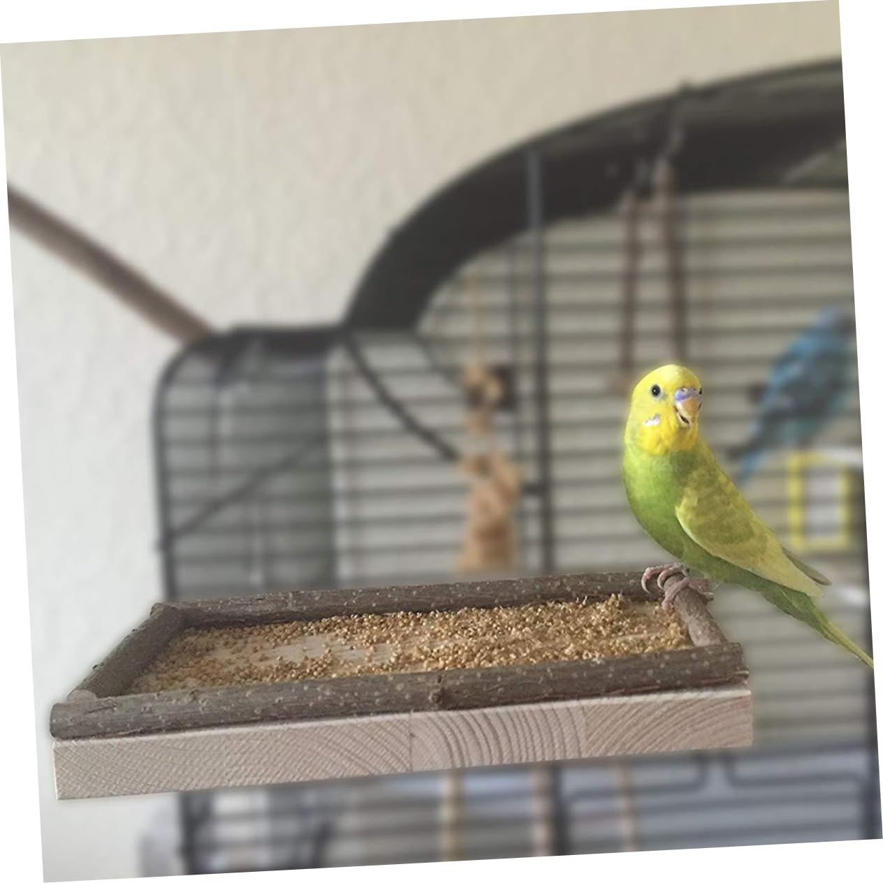 TOYANDONA 3pezzi Piattaforma Gioco Per Pappagalli Legno Naturale Scivolo Per Esercizio e Mangiatoia Sicura Per Uccelli Per Insegnare Saltare e Coordinazione Casa e Negozio Di Animali