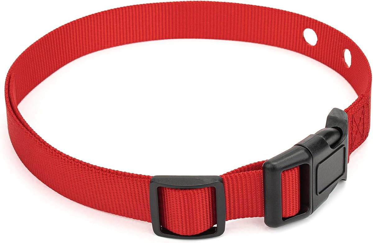 Correa de repuesto para collar de perro de 1 pulgada con 2 orificios para receptor PetSafe | Collar ajustable compatible con cercas en el suelo PetSafe y cercas inalámbricas, se adapta a tamaños de cuello de 6 a 28 pulgadas