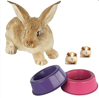 Comedouro para Roedores 65ml – Hamster, Rato, Porquinho da Índia, Coelho | Plástico Resistente, Fácil de Limpar – 2 Unidades (Cores Sortidas)