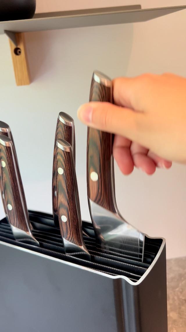 Amazon.com: EVA SOLO | Angled Aluminum Knife Stand | Holds up to