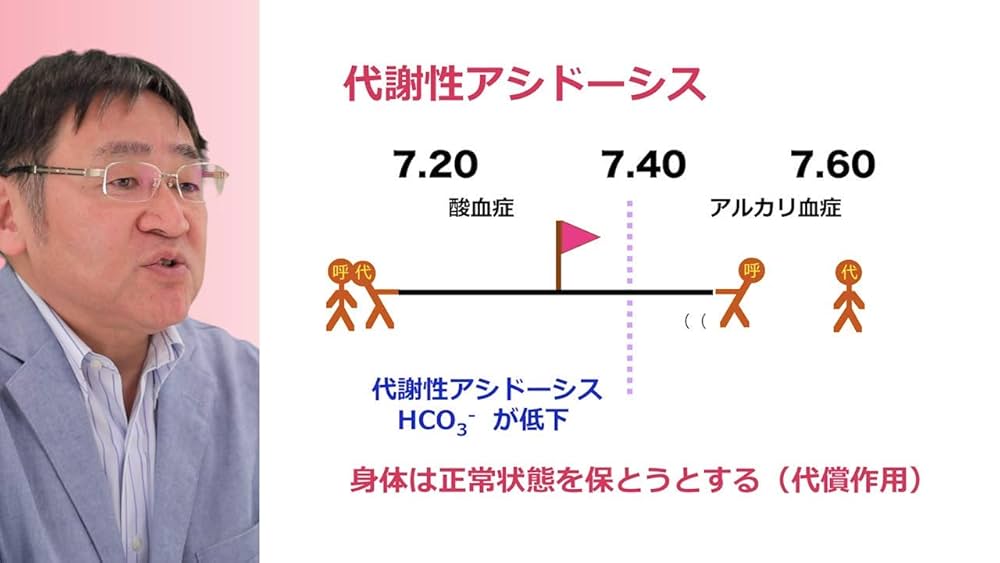 新品未開封 Dr.須藤のやり直し酸塩基平衡 DVD Dr.須藤のやり直し酸塩基平衡 /ケアネットDVD | 須藤 博 |本