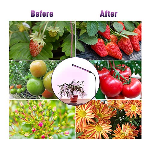 Ecoogrower Led Grow Lights For Indoor Plants, Plant Growing Lamps For Indoor Plants, 20W Full Spectrum Adjustable Gooseneck 9 Dimmable Levels 3 Modes Timing Function, 1 Head #TOP5