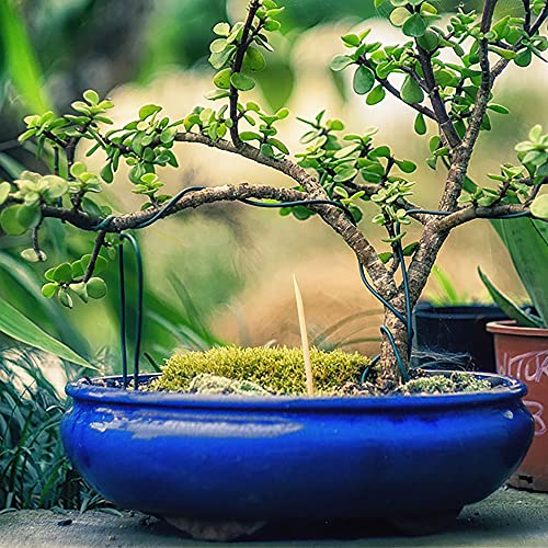 Bamboomn Bonsai Tree Pruning Trimming Starter Tool Kit - Leaf Trimmers, And Bamboo Rake - 1 Set #TOP5