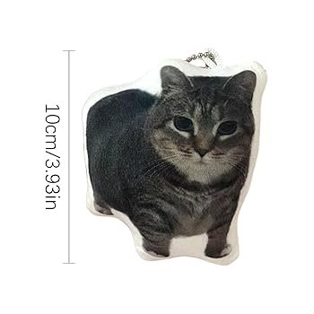 猫ミーム 猫ミーム #猫ミームEDM #catmemes #huhcat #meme #fyp