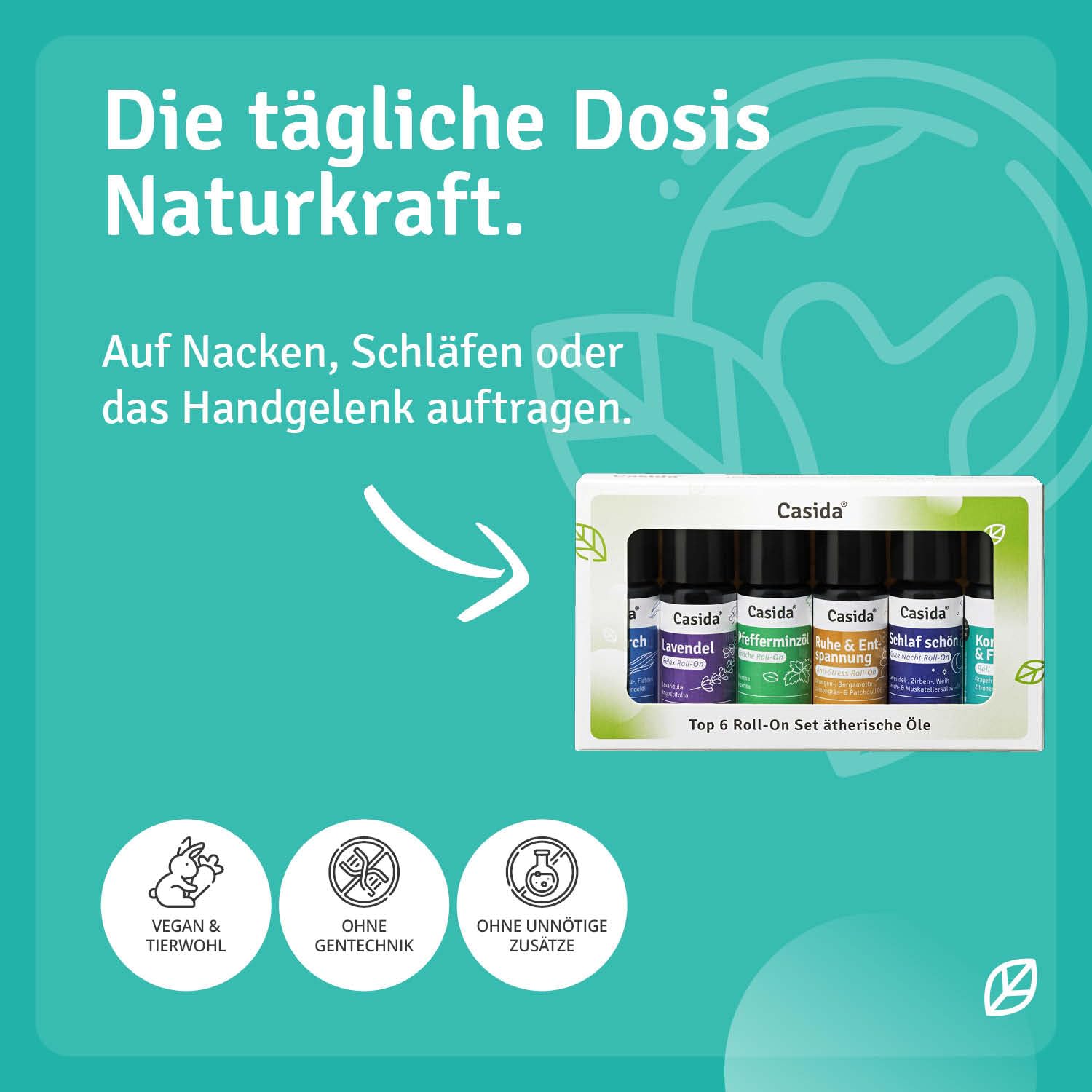 Casida Roll On Top 6 Set - 6 Duft Roll Ons mit naturreinen ätherischen Öle - verdünnt mit Kokosöl- Duftöl, Aromaöl- ideal für Aromatherapie und unterwegs - 6x10ml