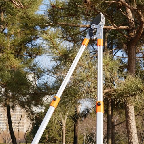 Coupe-branches de jardinage résistant à manche long antidérapant pour la taille extérieure - 3