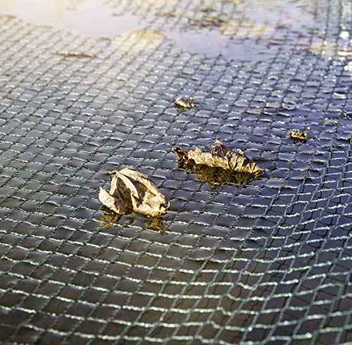 Windhager Laubschutznetz, Abdecknetz, Gartenschutz, zum Schutz von Teichen und Wasserbehältern, inkl. 10 Netzhaltern, grün, 3 x 2 m