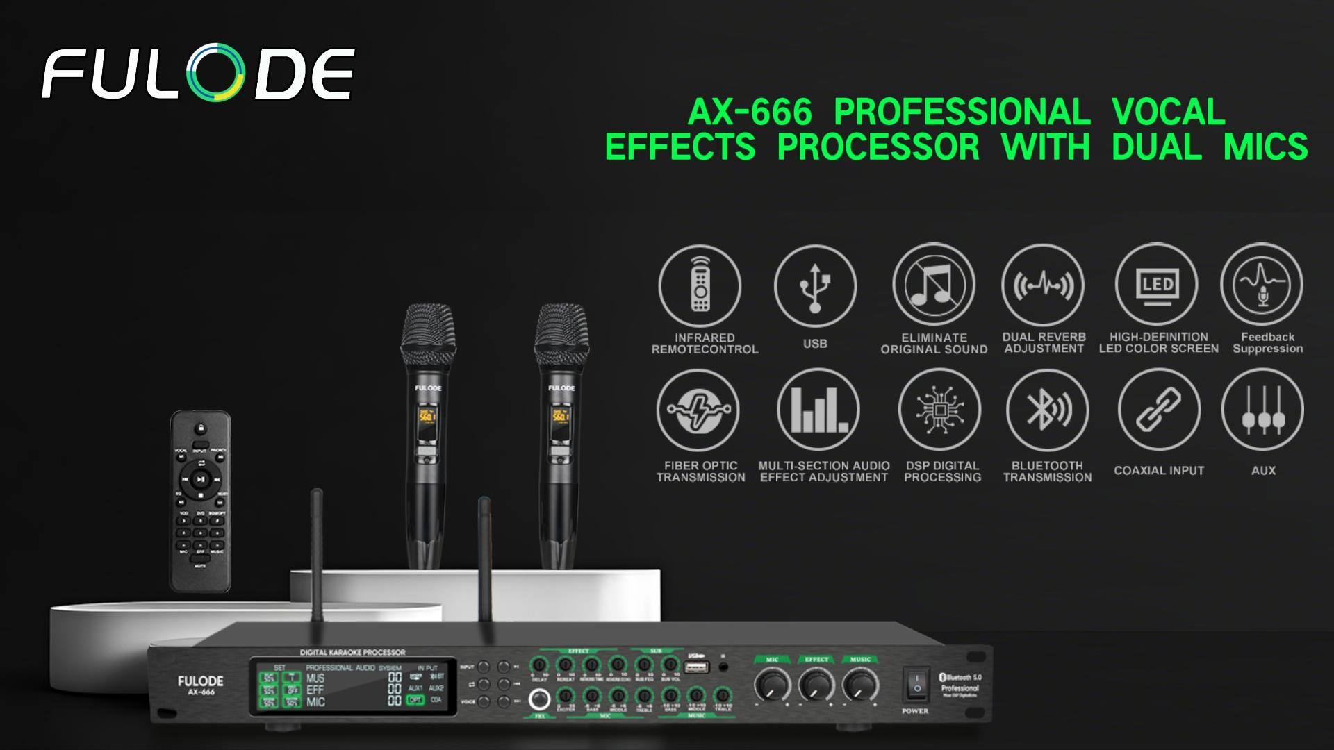 Amazon.com: FULODE AX-666 Professional Karaoke Processor KTV
