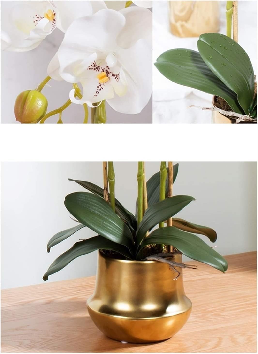 Eleganti Orchidee Artificiali, Fiori Finti, Piante Artificiali Vivaci, Decorazioni per tavoli, Feste, Sale da Pranzo e uffici.