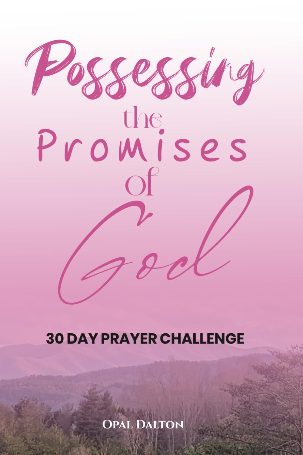 Possessing the Promises of God: 30 Day Prayer Challenge