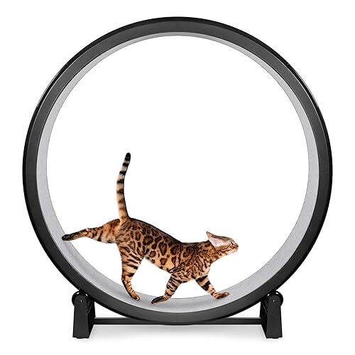 One Fast Cat - Cat Exercise Wheel - Gen. 7 - Safe 48" Diameter - Made in The USA - Black Wheel with Gray Felt Traction Pads and Solid Black Inline Wheels - Black Wheel / Gray Felt / Black Inline