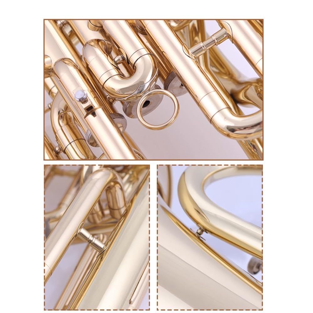 Bb Messing Lack Gold Vier-Tasten-Baritonhörner Musikinstrument für Anfänger Prüfungen Professionelle Leistung