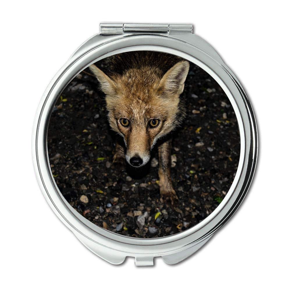 Mirror,animal canine close up,pocket mirror