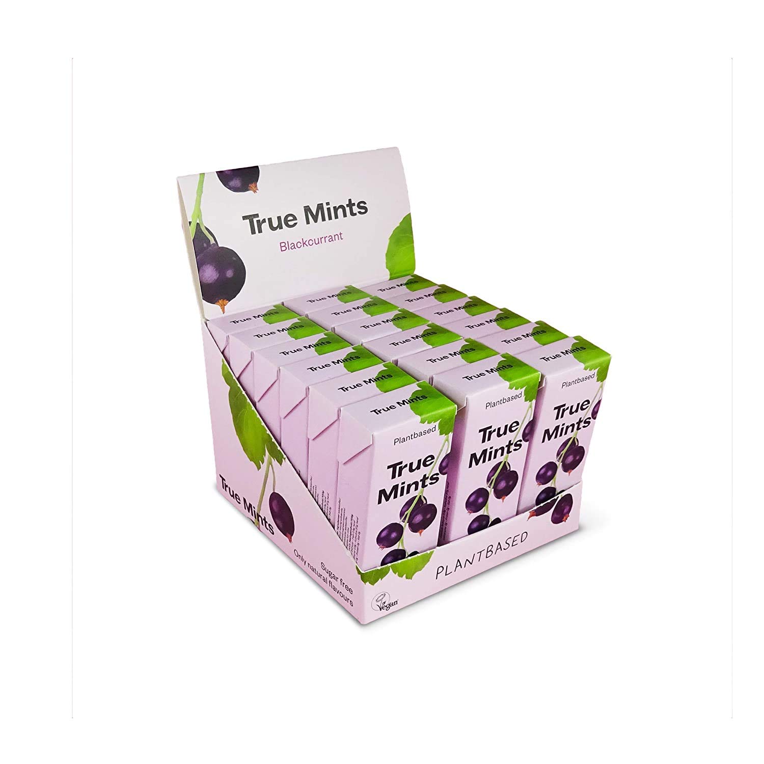True Mints BLACKCURRENT Flavour (18-pack) - Sugar Free Mints - Xylitol Mints - Fruit Pastilles - Sugar Free & Plantbased Travel Sweets with Natural Flavours