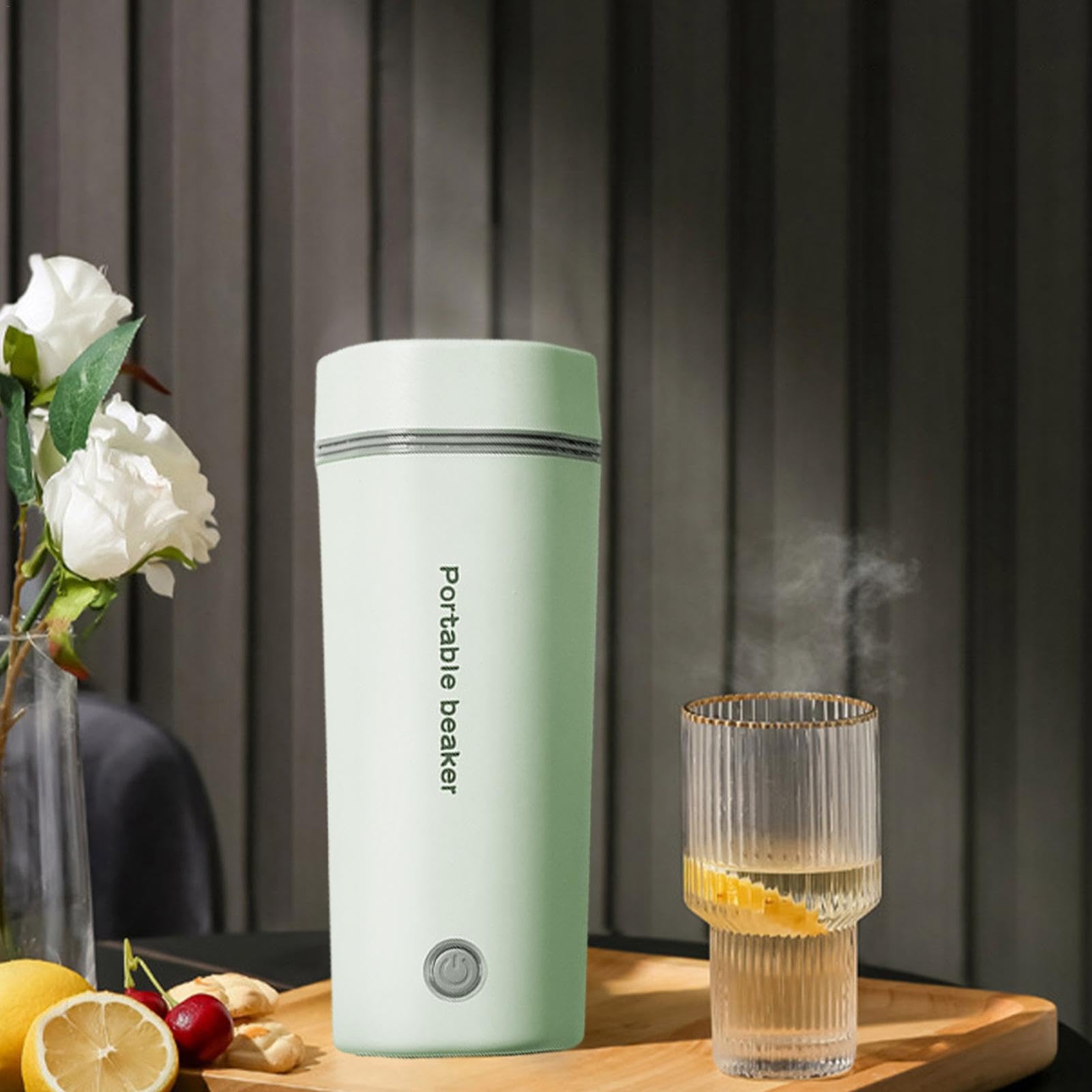Calentador de agua de viaje, calentador de agua para coche, taza de viaje