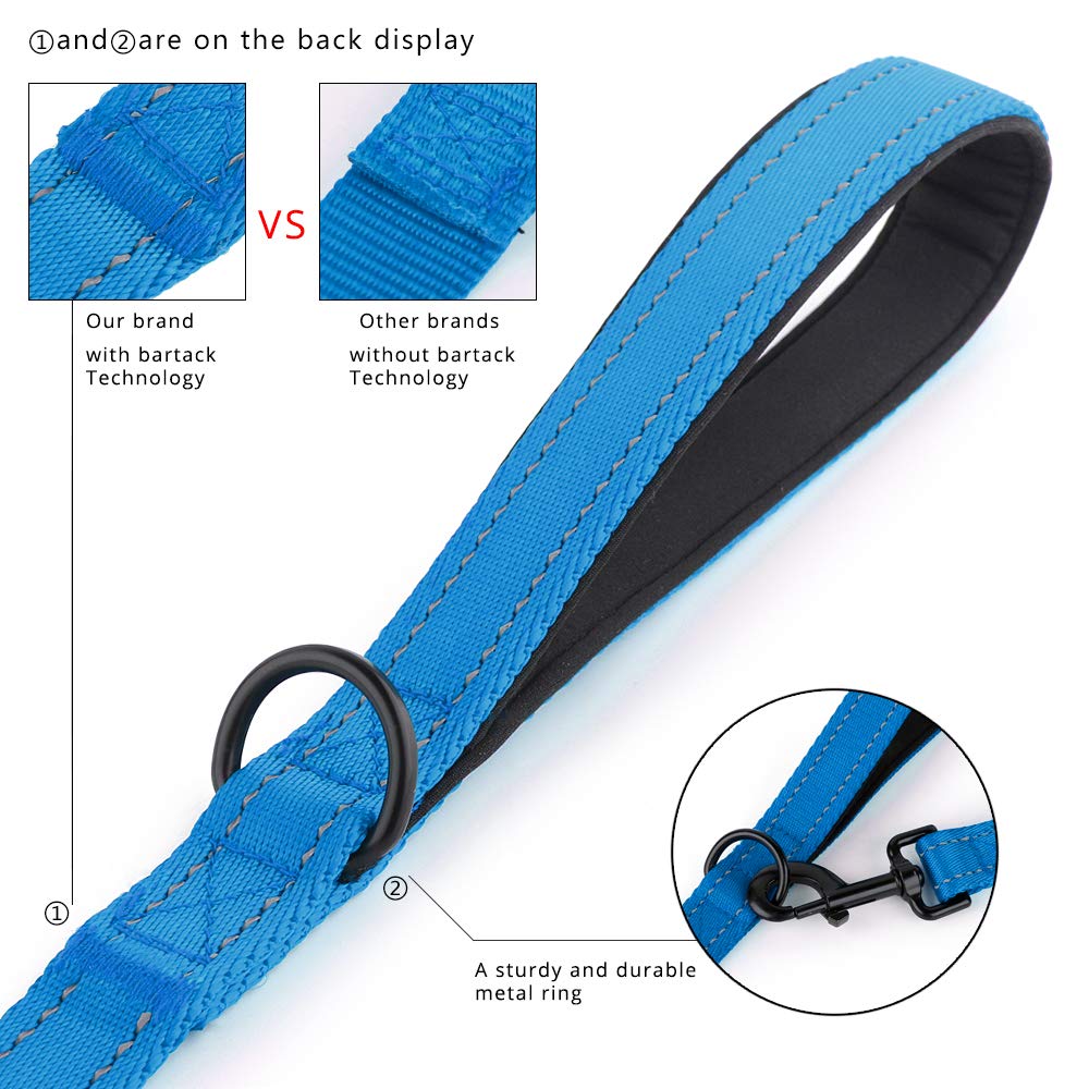 Plutus Pet Hundeleine mit doppeltem Griff, 1,5 m lang, für mittelgroße und große Hunde | Reflektierendes Nylon, weich gepolsterte 2 Griffe, strapazierfähig für Training, Doppelgriff-Leine, 1,5 m x 2,5 cm, Hellblau