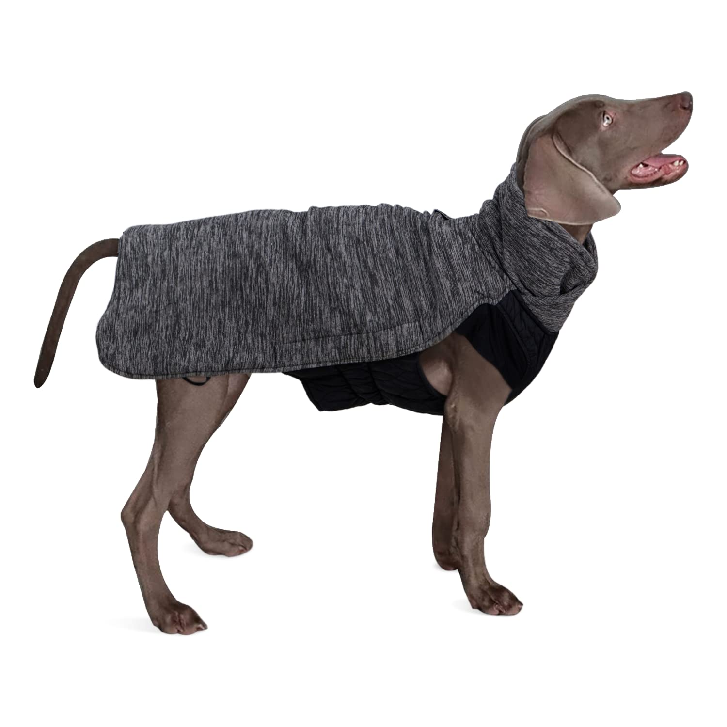 Dociote Dog Coat with Collar Hole Velcro Fastening Fleece Lined Winter Coat Reflective Winter Jacket for Medium Large Dogs Gre