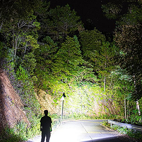 BrightBulb Smiling Shark 317A G3 Torcia Tascabile