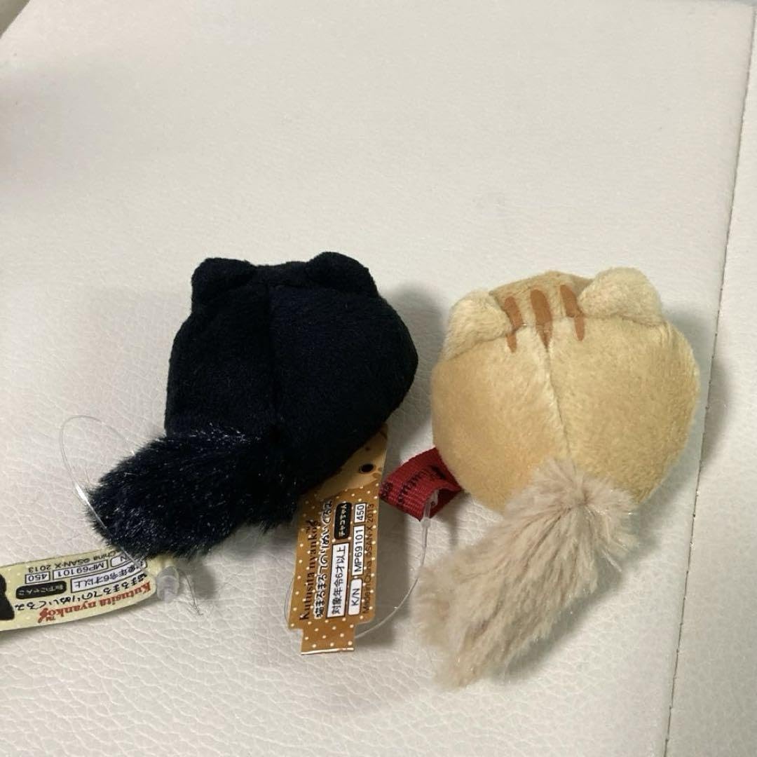 Amazon.co.jp: 靴下にゃんこ 猫まるまる手のりぬいぐるみ（靴下