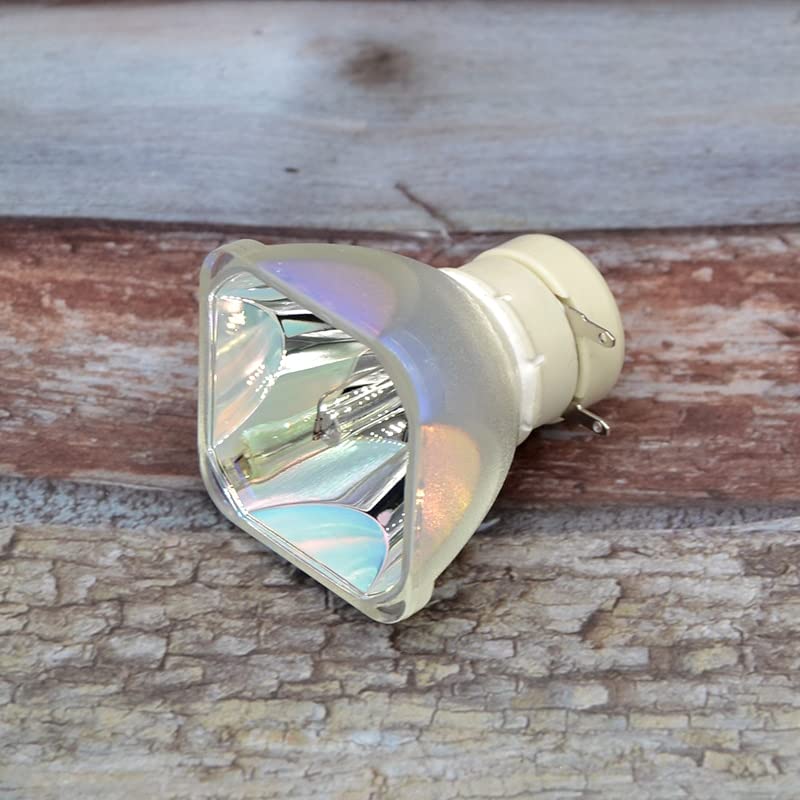 Roccer Elp-lamp39 Ampoule De Rechange Pour Projecteur Avec Boitier Pour