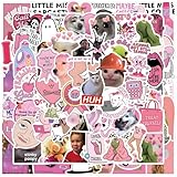 JSTHHTT Autocollant, Stickers, Lot de 105 Autocollants Meme Drôles, Stickers Kindle, Meme Classic, Waterproof/Décoration, pour Ordinateur Portable, Skateboard, Guitaire, Vélo, Valise