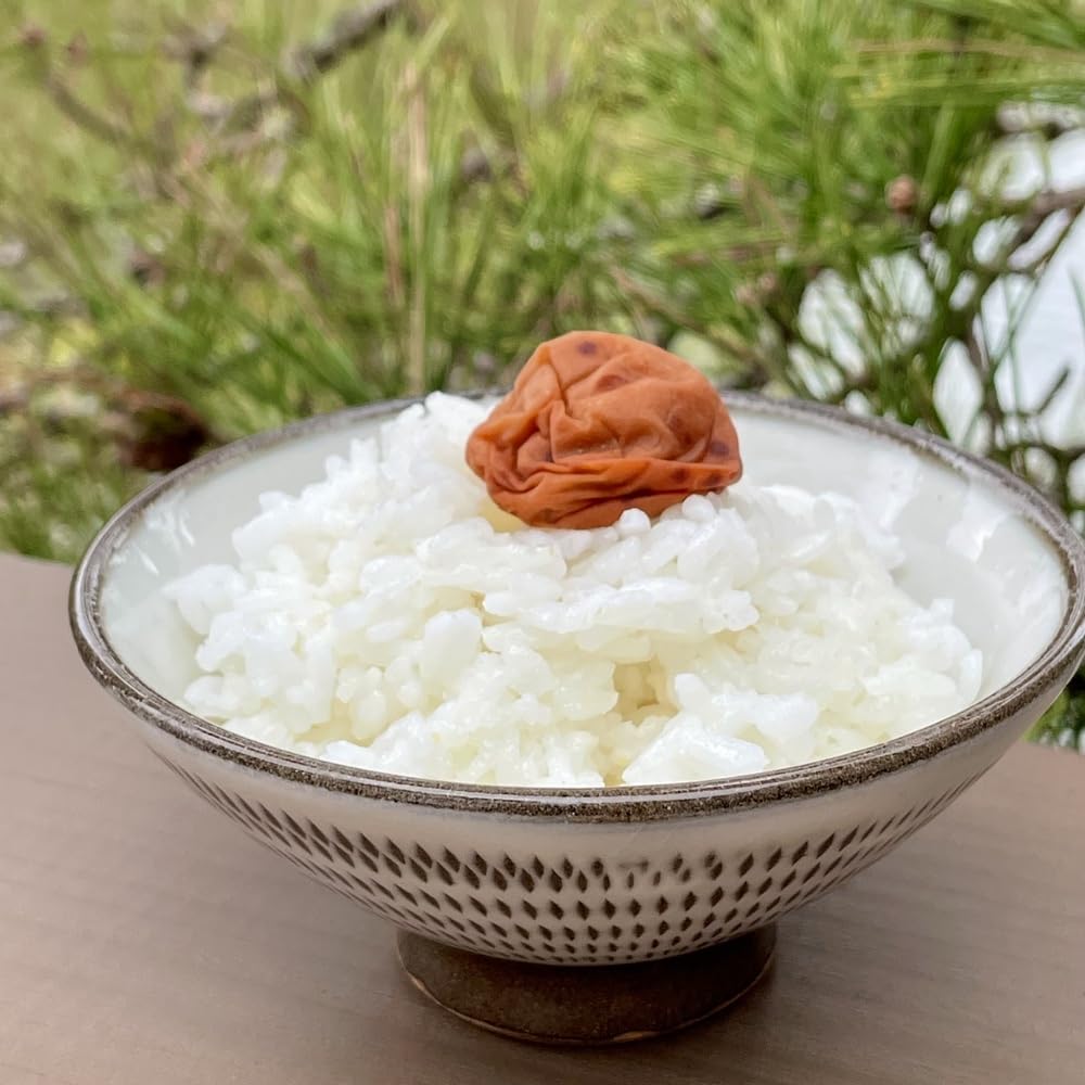 Amazon | 梅干し「白加賀」120g×4個セット【松江市・須山農園