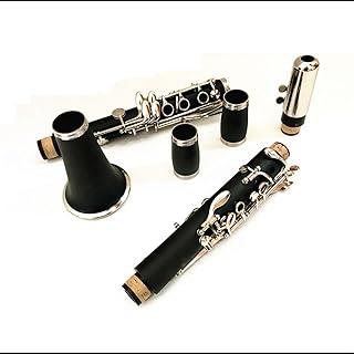 Clarinet 17 Key Falling Tune B Bakelite Pipe Body Material Clarinet Wood Instrument Clarinet for Beginner