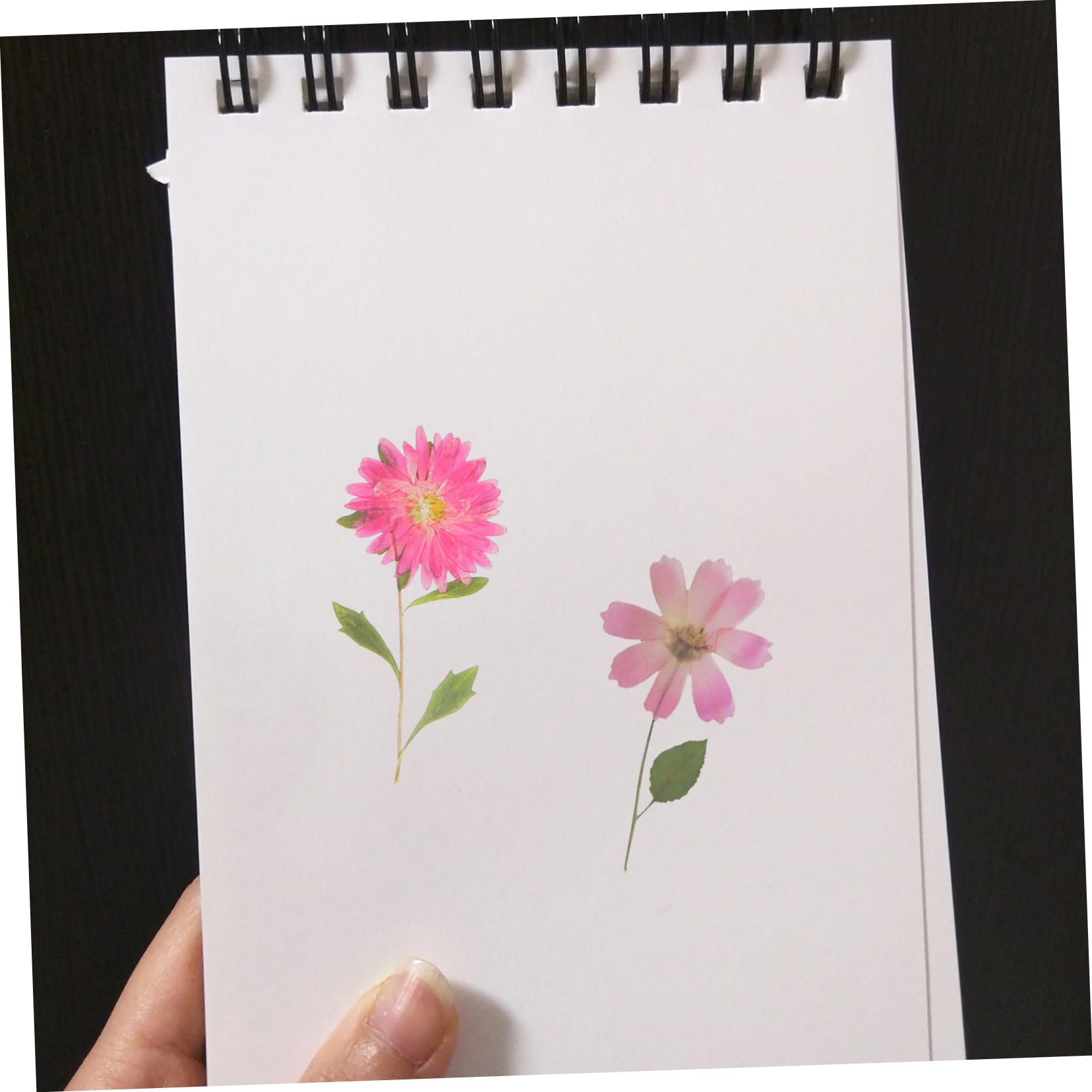 SHINEOFI 18paquets Autocollants Floraux Décoratifs Pack De Stickers Fleurs Séchées Pour Scrapbooking Et Journal Intime Autocollants Esthétiques Pour Et Décoration Personnelle