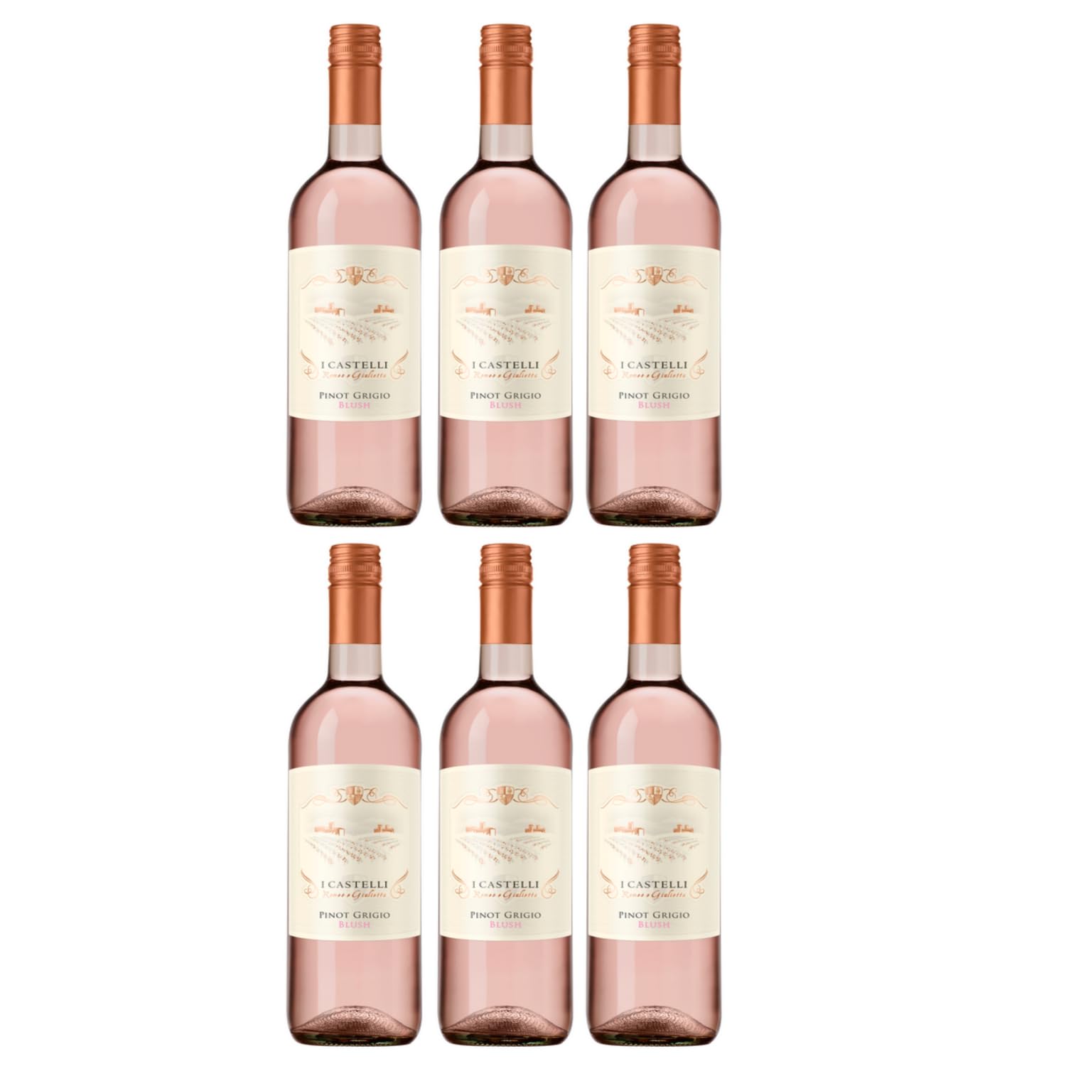 Cielo - Pinot Grigio Rosé DOC "I Castelli Romeo e Giulietta" Pinot Grigio Roséwein Italien rosé trocken inkl. FeinWert E-Book (6 x 0,75l)