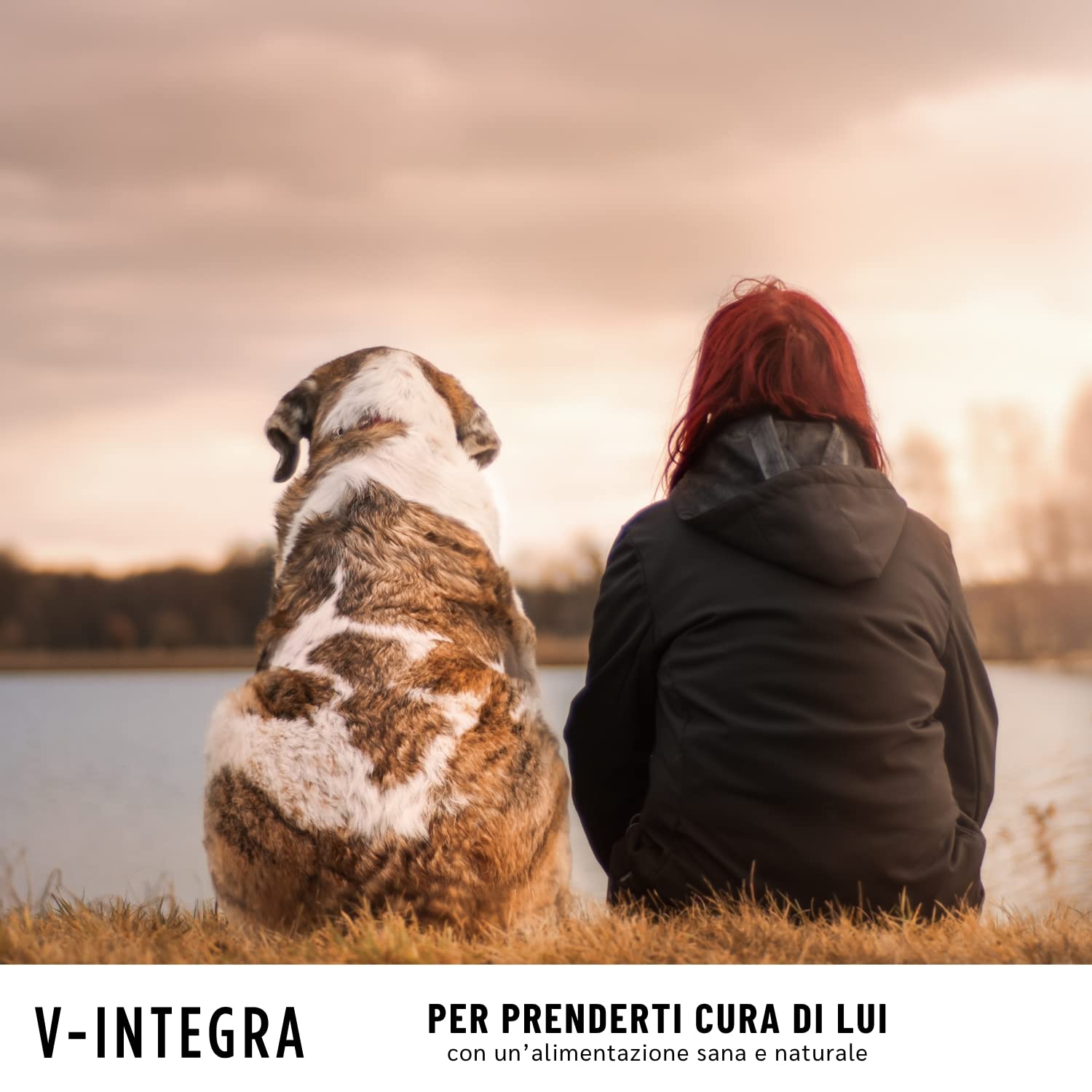 Senior Dog - Kompletny Suplement Bogaty w Witaminy i Minerały do ​​Domowej Diety Psa i BARF - 500g - Made in Italy