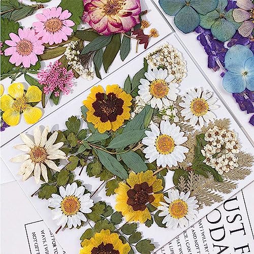 Kit de flores prensadas 5 bolsas 100 piezas para manualidades miniatura 5