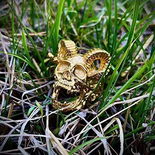 Image of Genuine Stainless Steel Ring Jewelry for Men Fashion Punk Biker Skull Rings