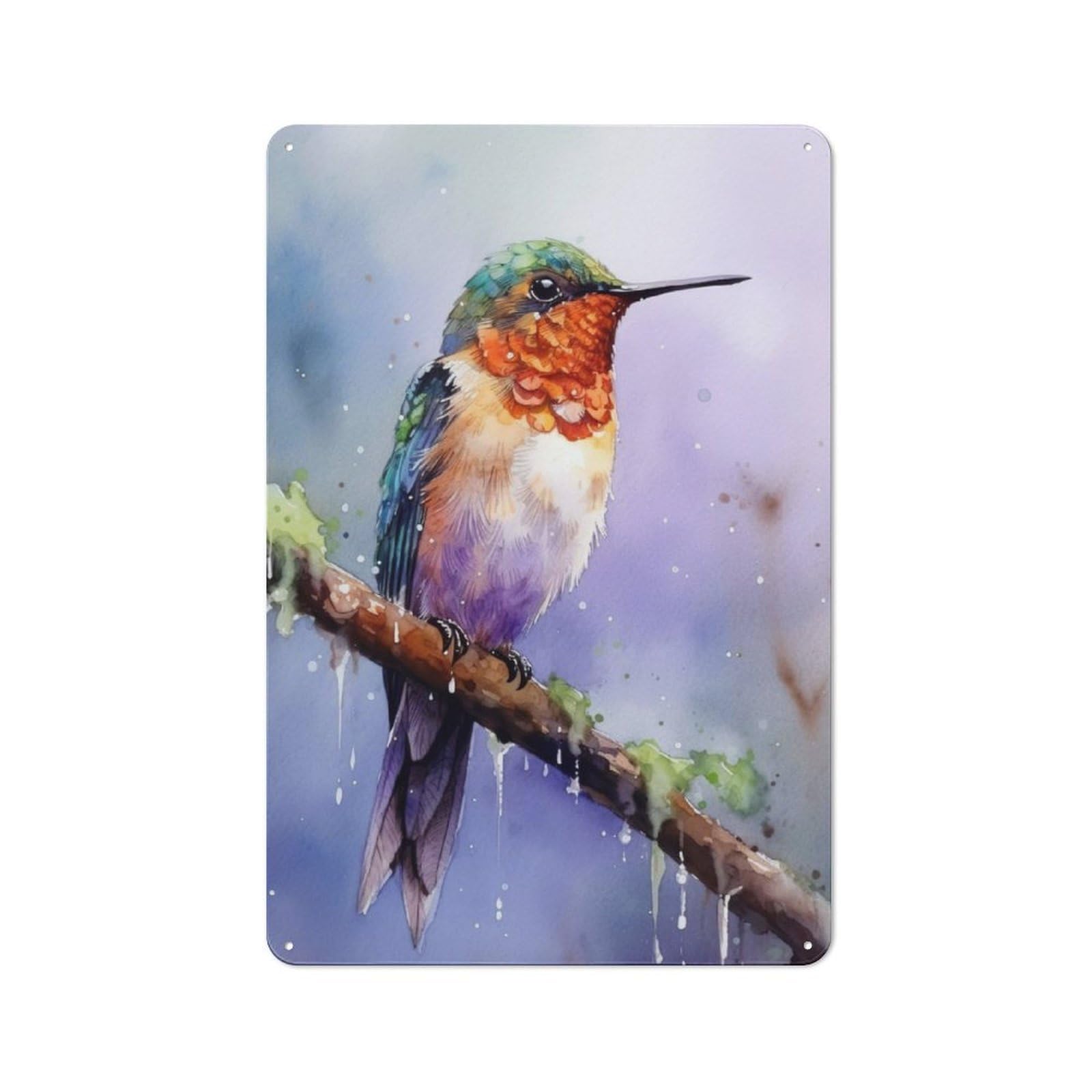 Junmoney Hummingbird Watercolor Retro Tin Wall Plaque 30X20cm For Man Cave Or Games Room, For Games Room Collectors
