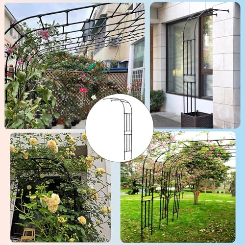 Arche de jardin en métal noir 240x240 cm pour rosiers et plantes grimpantes