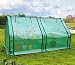 Quictent Portable Greenhouse Large Green Garden Hot House Grow Tent More Size (71" WX 36" D X 36" H PE Cover)