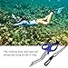 Pilipane Safety Sea Snips, Dive Shears, Emergency Scissors, Scuba Diving Scissors Stainless Steel Scuba Diver Shears with Lanyard and Buckle(蓝色)