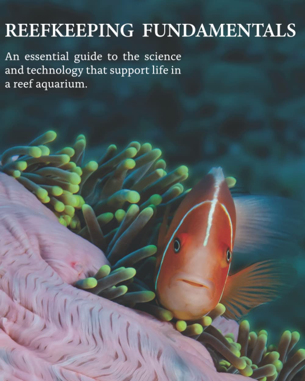 Reefkeeping Fundamentals