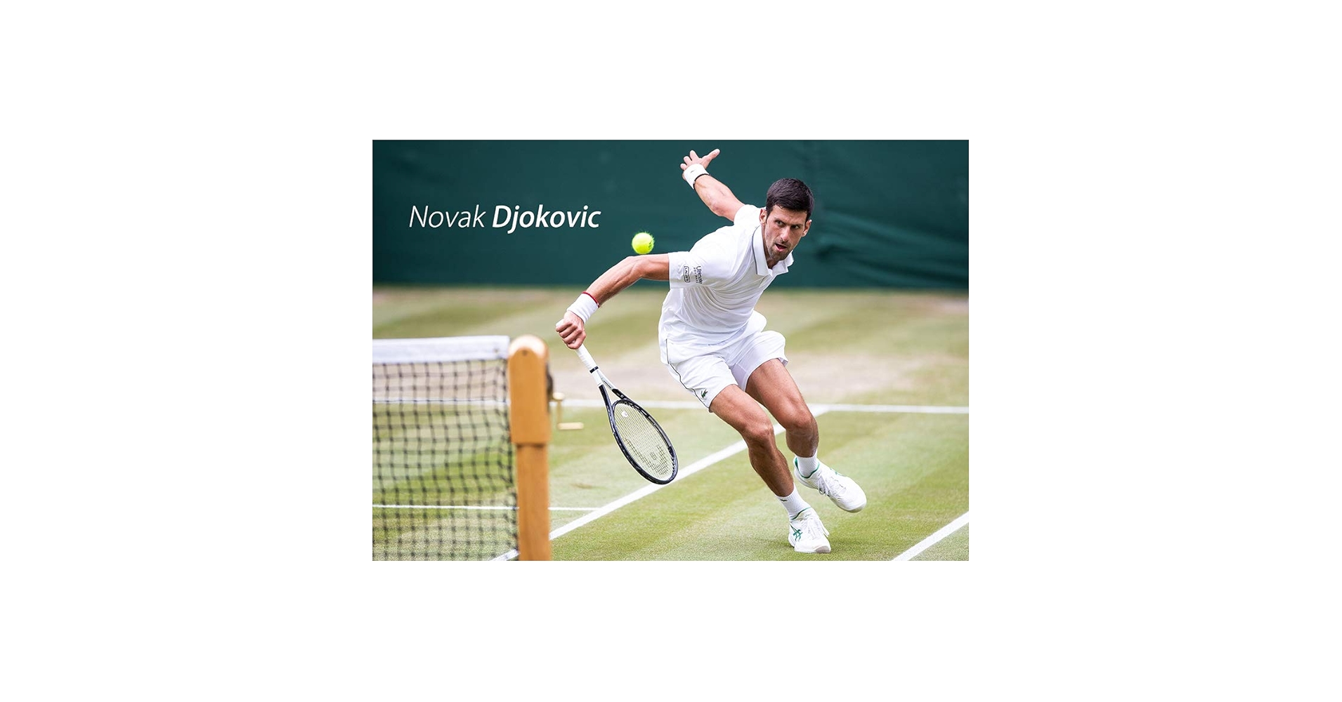 Amazon.co.jp: ノバク ジョコビッチ ポスター 42x30cm テニス