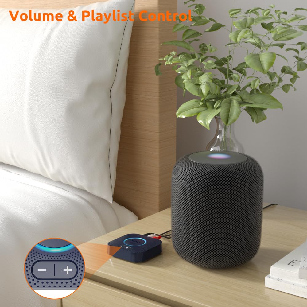 https://m.media-amazon.com/images/I/61T1SpbSJrL.jpg