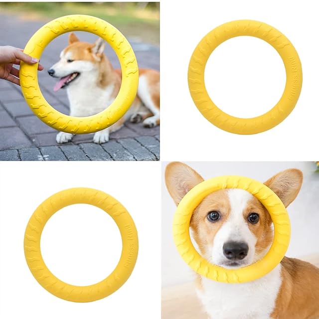 Foto 5 de 7 de JINRETUTE Anillo de mosca para perro, anillo de fitness flotante para perro